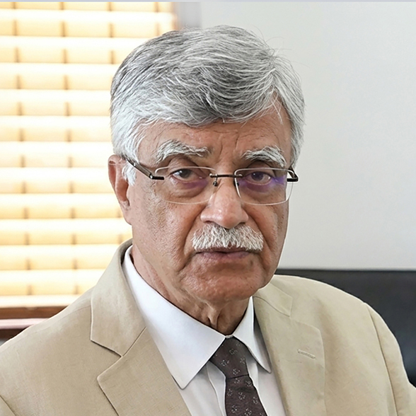 Prof Fareed A. Minhas