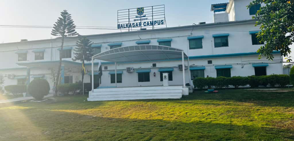 Branch Image